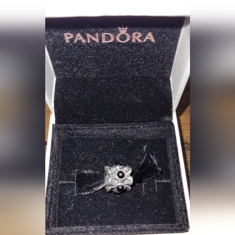 Silver Charm Bead with Black Accents